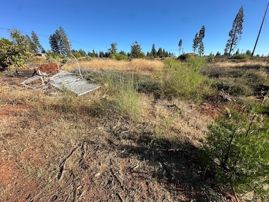 6232 Wesleyan Ct, Magalia, CA 95954 - photo 6