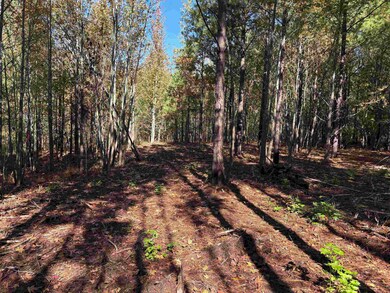 0 Bethuel Rd unit Lot 13, Unincorporated, TN 38053 - photo 7