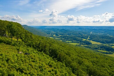 DJI_0950