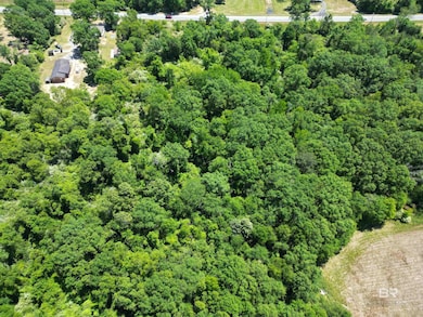 10961 Highway 97, Mc David, FL 32568 - photo 3