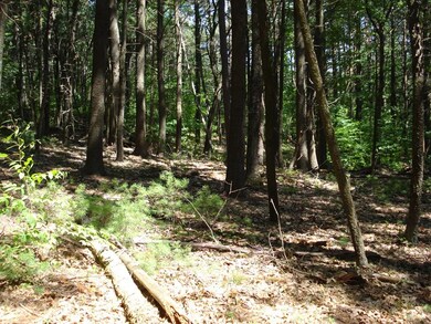 1 Nourse Rd, Bolton, MA 01740 - photo 3