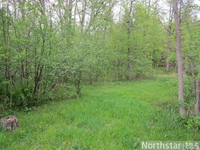 30159 State Road 35, Danbury, WI 54830 - photo 7