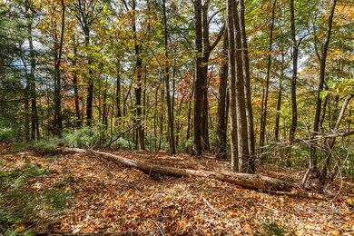 Lot 24 Ben Miller Rd unit 24, Deep Gap, NC 28618 - photo 2
