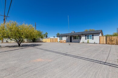 03 - Ocotillo