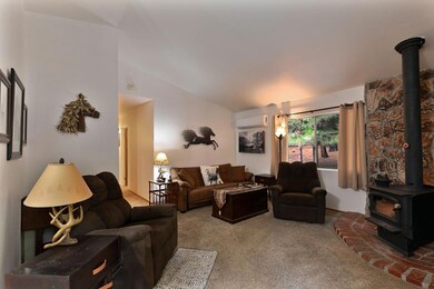 19243 Amador Ave, Pioneer, CA 95666 - photo 4