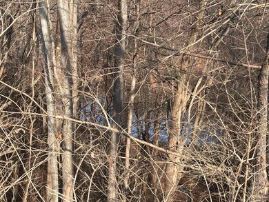 TBD Barbour County Hwy, Philippi, WV 26416 - photo 7