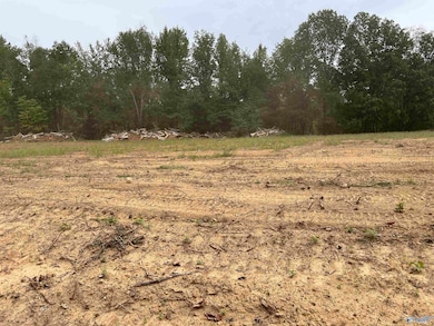 19 Holland Rd, Athens, AL 35614 - photo 3