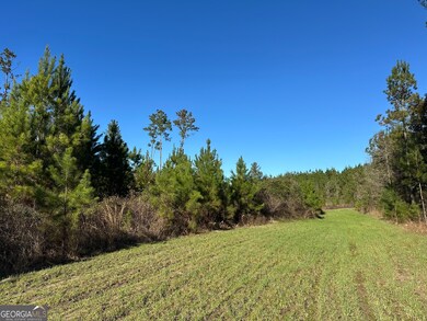 012 Mount Zion Rd, Gordon, AL 36343 - photo 4