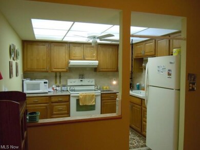 Other kitchen amenities include a new ceiling fan,