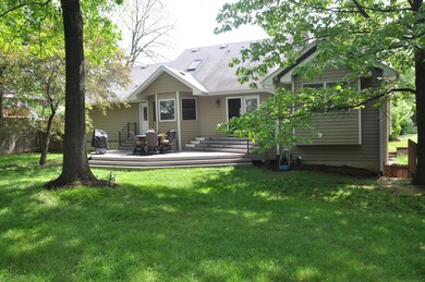Back View