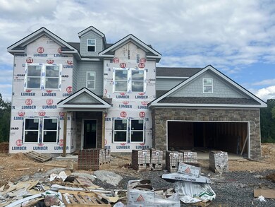 Lot 186 Update