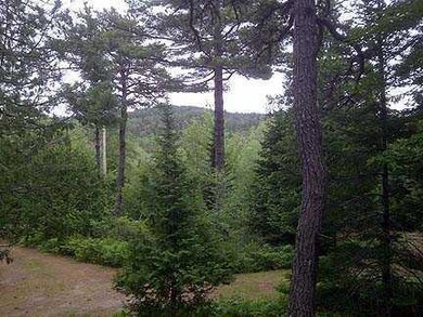 View.