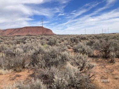 Native sage brush and vegetation