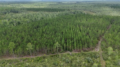 0 Fire Tower Rd, Manor, GA 31550 - photo 2