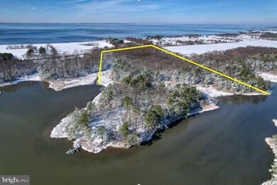 3779 Eastern Neck Rd, Rock Hall, MD 21661 - photo 3