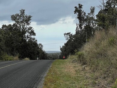 Standing in Front of the Lots on Ocean View Pkwy..