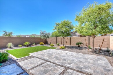 Backyard-22