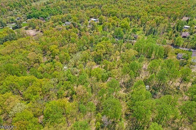 0 Hardscrabble Hill Rd, Flemington, NJ 08822 - photo 3