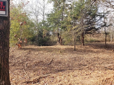 TBD Cr 1552 10 097 Ac, Long Branch, TX 75669 - photo 6