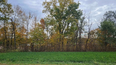 5 acres Lavalle Rd, La Valle, WI 53941 - photo 6