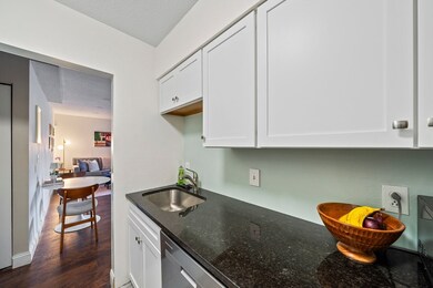 59-69 Msgr Patrick j Lydon Way unit 204, Boston, MA 02124 - photo 6