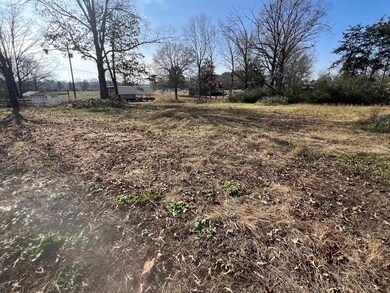 135 Gean Ln, Savannah, TN 38372 - photo 5