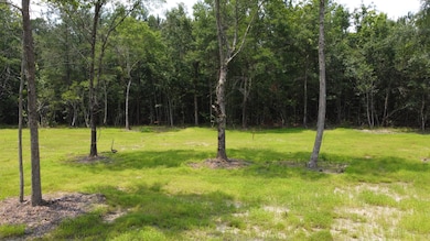 9 Steed Creek Rd, Huger, SC 29450 - photo 6