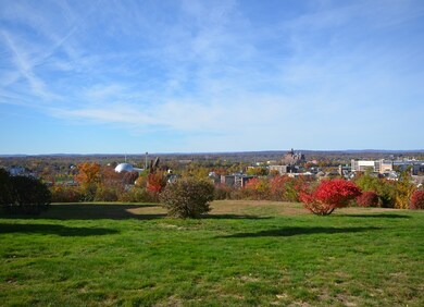 0 Maple St, Springfield, MA 01103 - photo 3