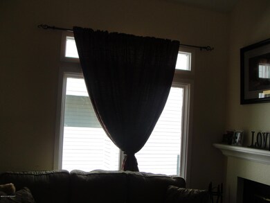 Living Room window
