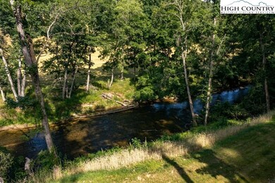 12 Turtle Ridge Rd, Sparta, NC 28675 - photo 7