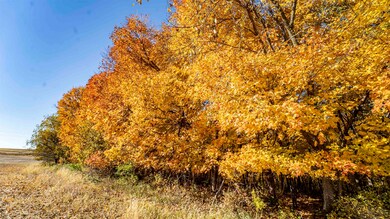 +/-46 Acres Bee Ln, Lancaster, WI 53813 - photo 2