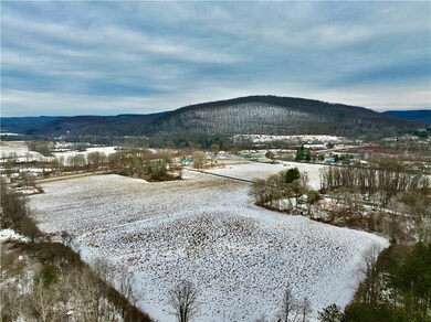 0 Conkrite Rd, Cayuta, NY 14824 - photo 3