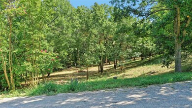 TBD Idlewild Dr, Pottsboro, TX 75076 - photo 4