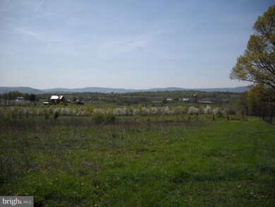 0 Buffalo Marsh Rd unit 1004780466, Middletown, VA 22645 - photo 6