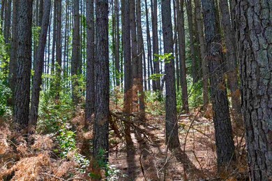 0 Guildford Farm Rd unit 604314, Ruckersville, VA 22968 - photo 5