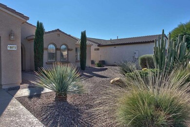 Cool decked sidewalk & driveway