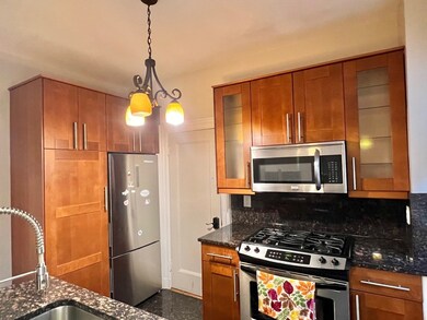 6 Lanark Rd unit 4, Brookline, MA 02445 - photo 5