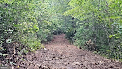 0 Hwy 28 unit 10584723, Clayton, GA 30525 - photo 6