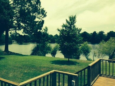 Left Lake view