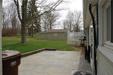 Backyard Patio View