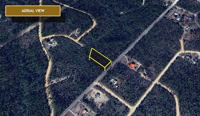 0 Edison Ave unit 25650220, Alford, FL 32420 - photo 3