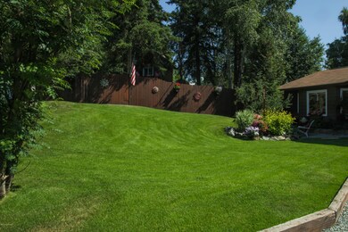Well Nourished Lawn and plants