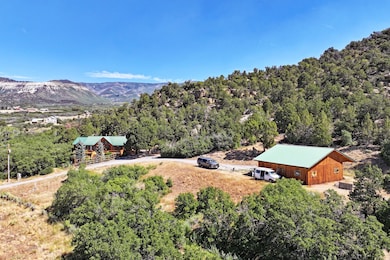 18842 58 6 10 Rd, Collbran, CO 81624 - photo 2