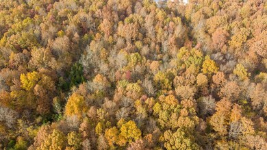 0South of County Road 468, Poplar Bluff, MO 63901 - photo 4