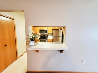 12100 Killdeer St NW unit 511, Coon Rapids, MN 55448 - photo 6