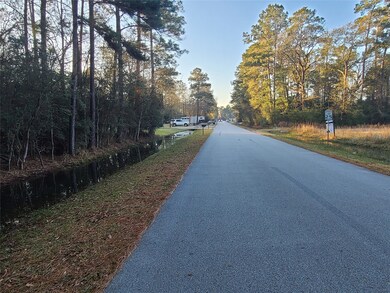 0 Weisinger unit 21165833, Magnolia, TX 77359 - photo 3