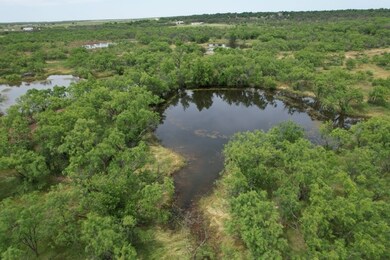 TBD Farm To Market Road 600, Anson, TX 79501 - photo 5