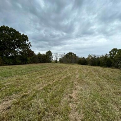 LOTS 10-11 County Road 4014, Cote Sans Dessein Township, MO 65080 - photo 7