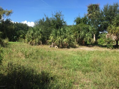 5375 Freedom Ln, Merritt Island, FL 32952 - photo 5