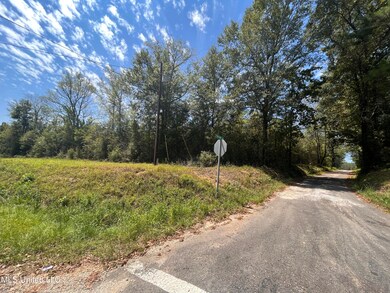 0 Gladhurst Rd, Magnolia, MS 39652 - photo 3